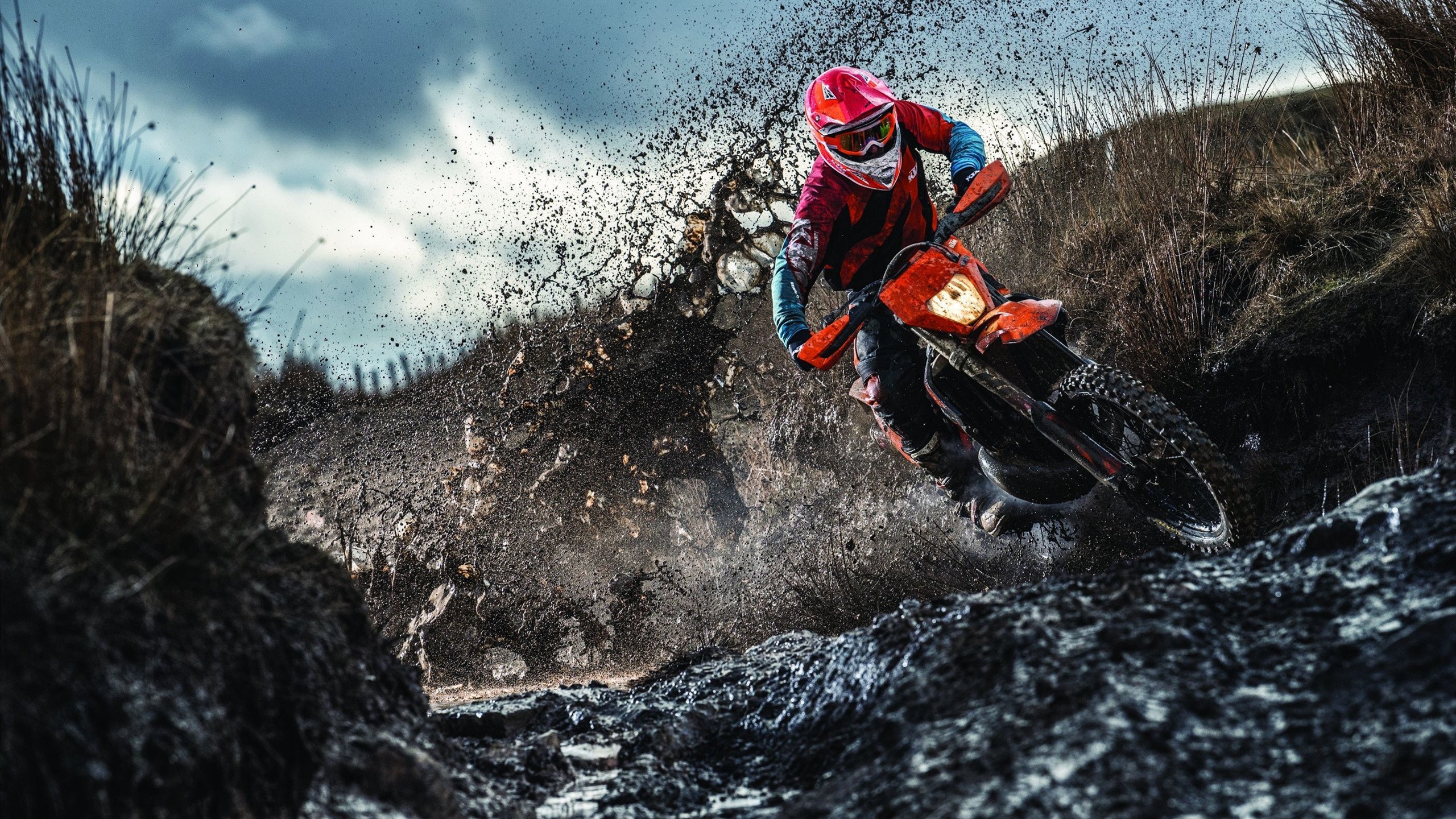 开云体育链接-电竞选手心理健康项目启动，助力职业发展，电竞选手心理疏导的方法